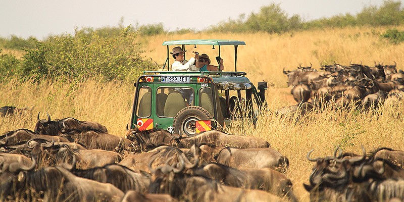 Safaris in Tanzania